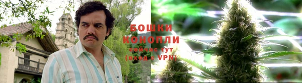 амф Верея
