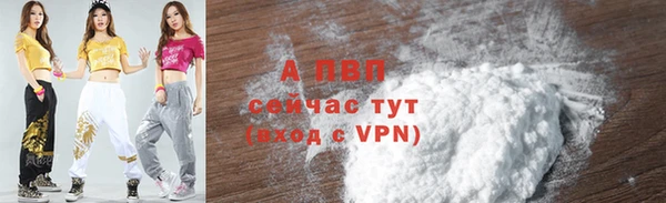 амф Верея