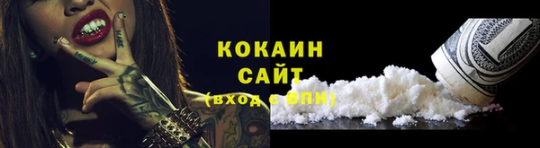 амф Верея