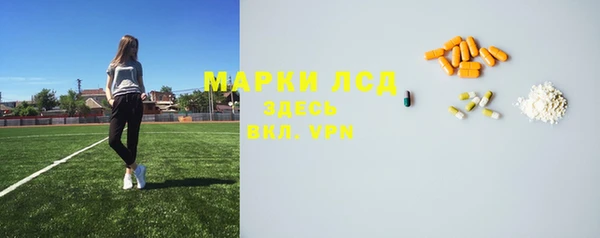 амф Верея