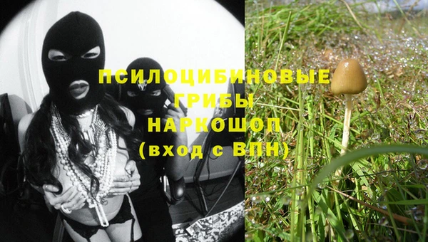 амф Верея